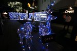 IMG_8140