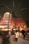 IMG_8163