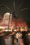 IMG_8164