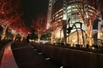 IMG_8199