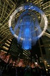 IMG_8225