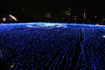 IMG_8248