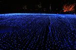 IMG_8253