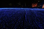 IMG_8254