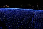 IMG_8256