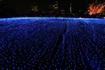 IMG_8257