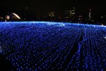 IMG_8263