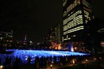 IMG_8267