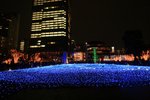 IMG_8277
