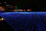IMG_8278
