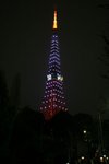 IMG_8300
