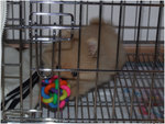 DSCF0037