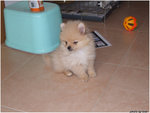 DSCF0039