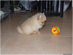 DSCF0042