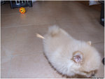 DSCF0044
