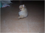 DSCF0049