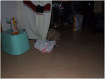 DSCF0055