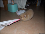 DSCF0056