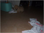 DSCF0058