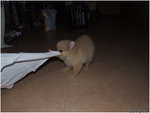 DSCF0060