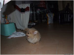 DSCF0062
