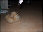 DSCF0063