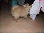 DSCF0064