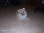DSCF0272