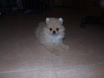 DSCF0273