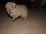 DSCF0274