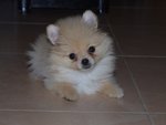 DSCF0276