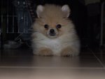 DSCF0277