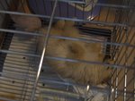 DSCF0286