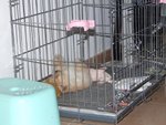 DSCF0288