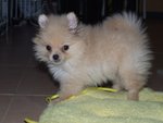 DSCF0290