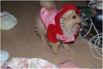 DSCF0862