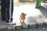 IMG_6035