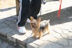 IMG_6036