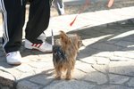 IMG_6037