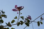 IMG_6047
