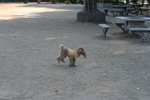 IMG_6048