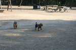 IMG_6050