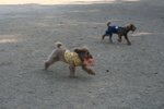 IMG_6051