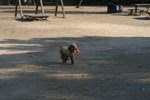 IMG_6053