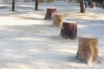 IMG_6055