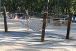 IMG_6056