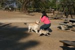IMG_6077