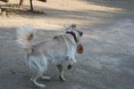 IMG_6080