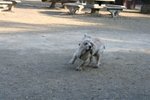 IMG_6081
