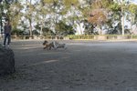 IMG_6083